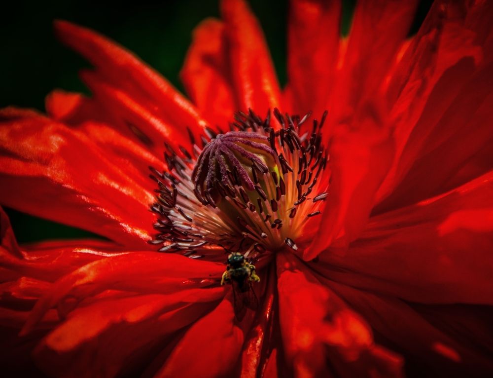 Photograph by Марина Канавченко