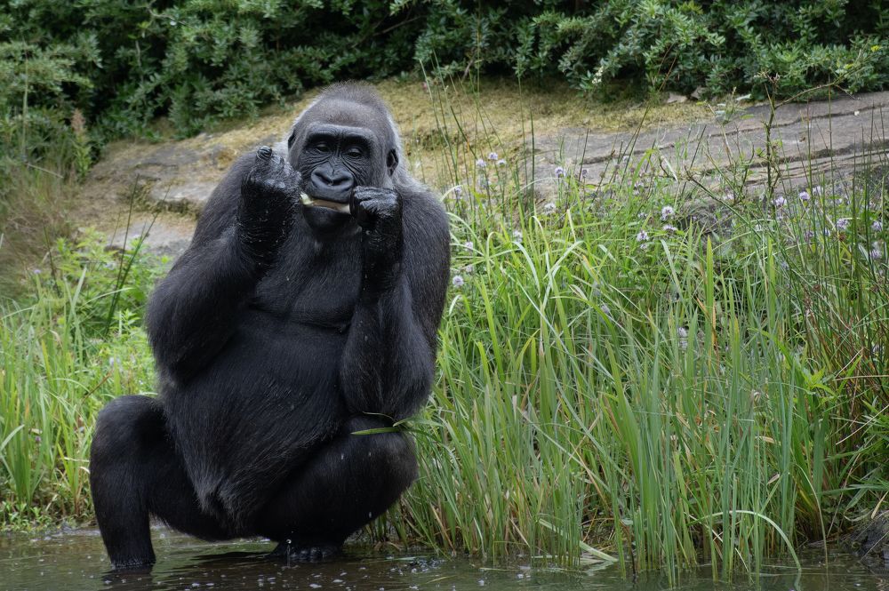 Photograph by Nicole Maria Oestreich