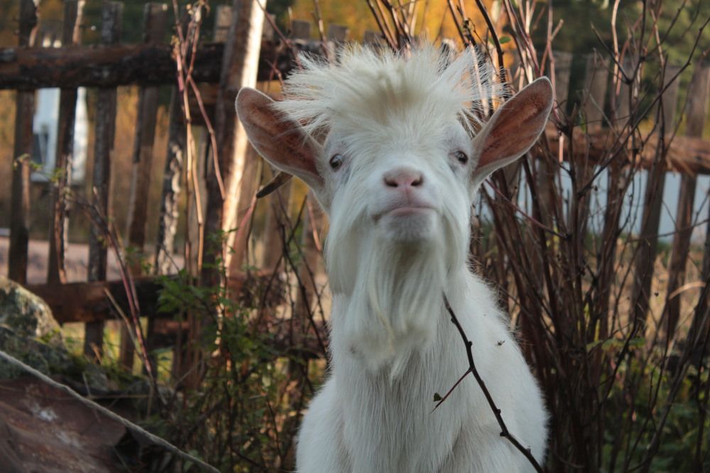 Photograph by Анна Азарёнок