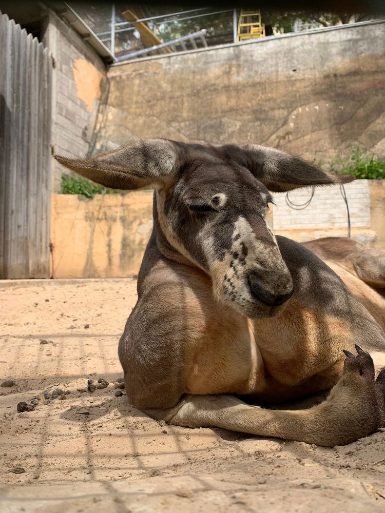 Фотография автора Ольга Забрянская