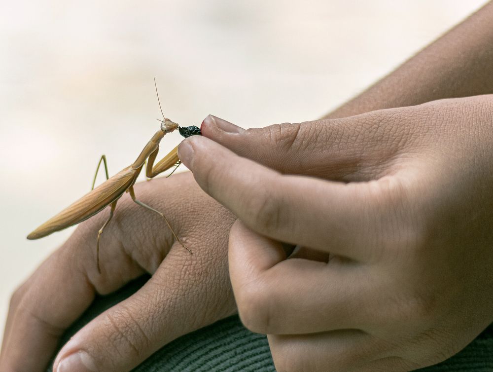 Photograph by Taтьяна Войлокова