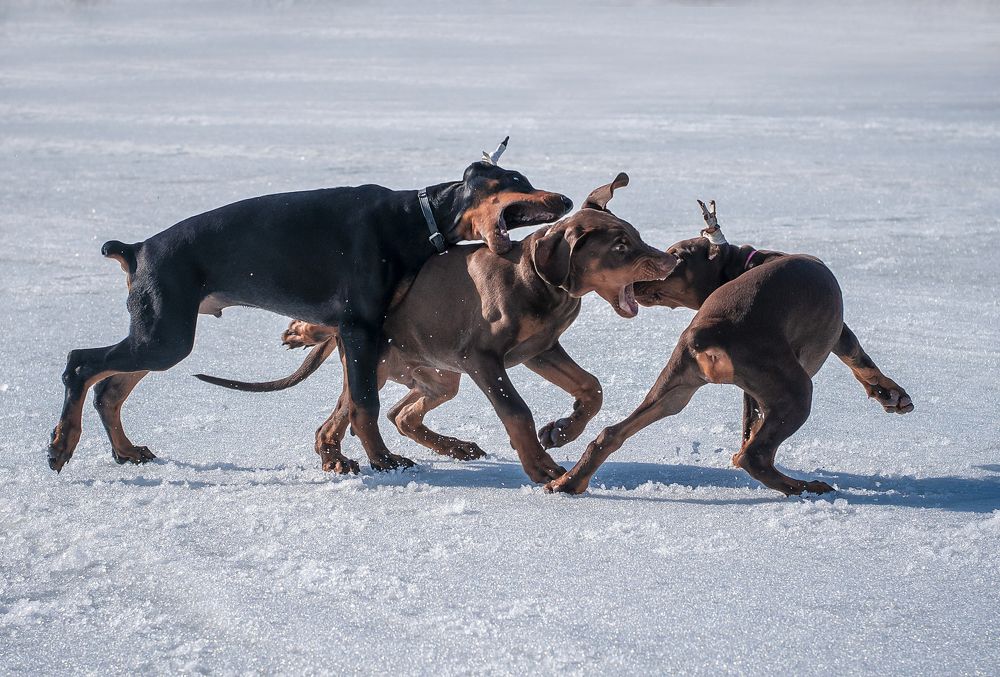 Photograph by Екатерина Лебедева