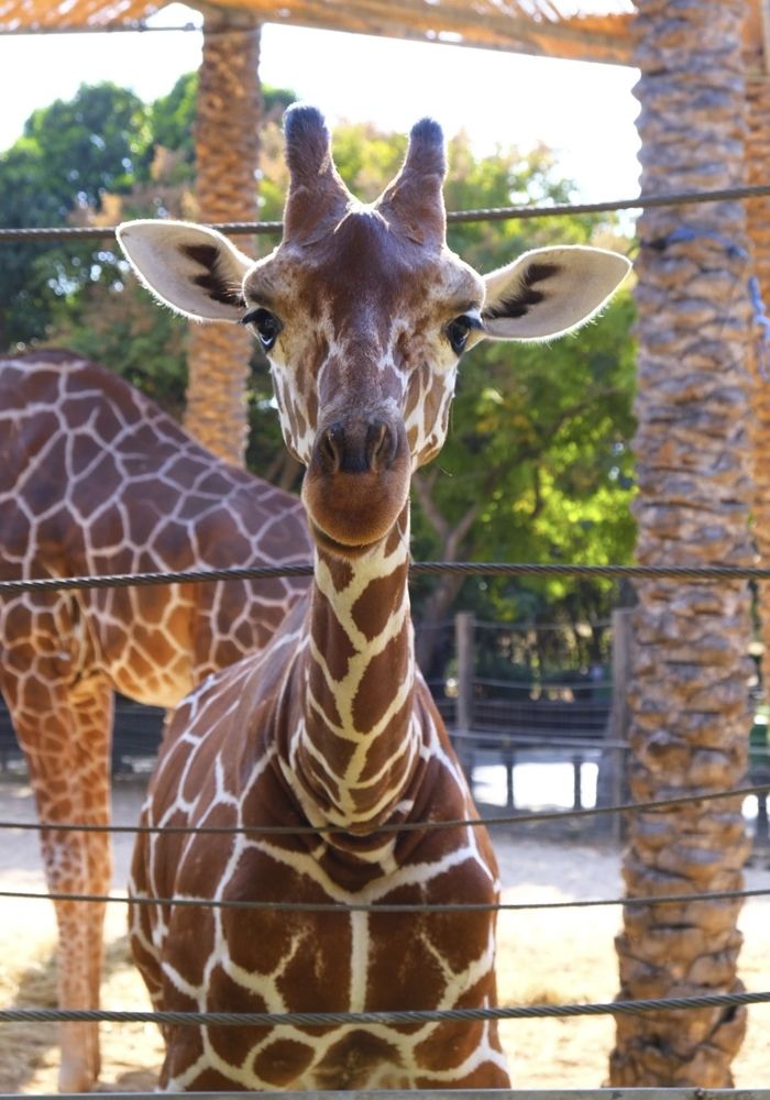 Фотография автора Ольга Забрянская