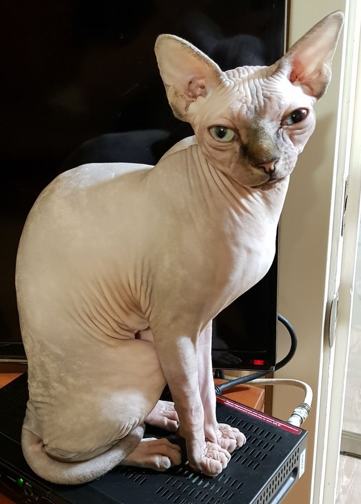 Photograph by Nataliya Kalinina