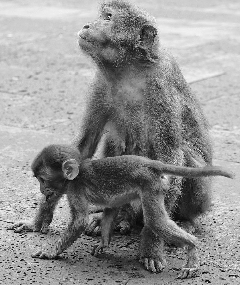 Photograph by Илья