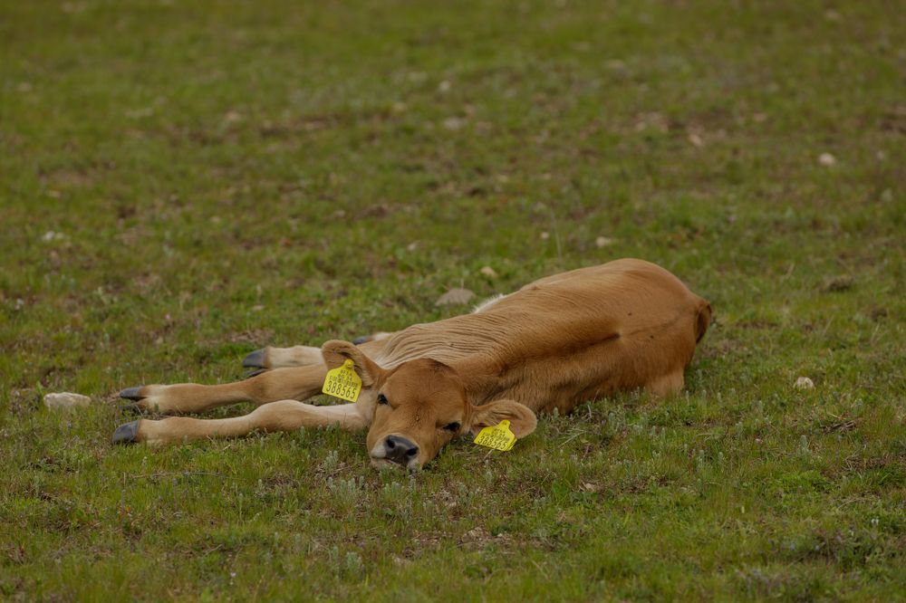 Photograph by Taтьяна Войлокова
