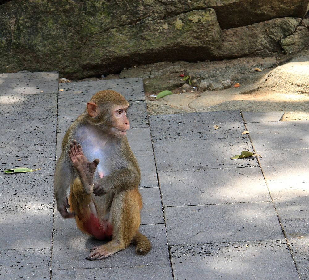 Photograph by Илья