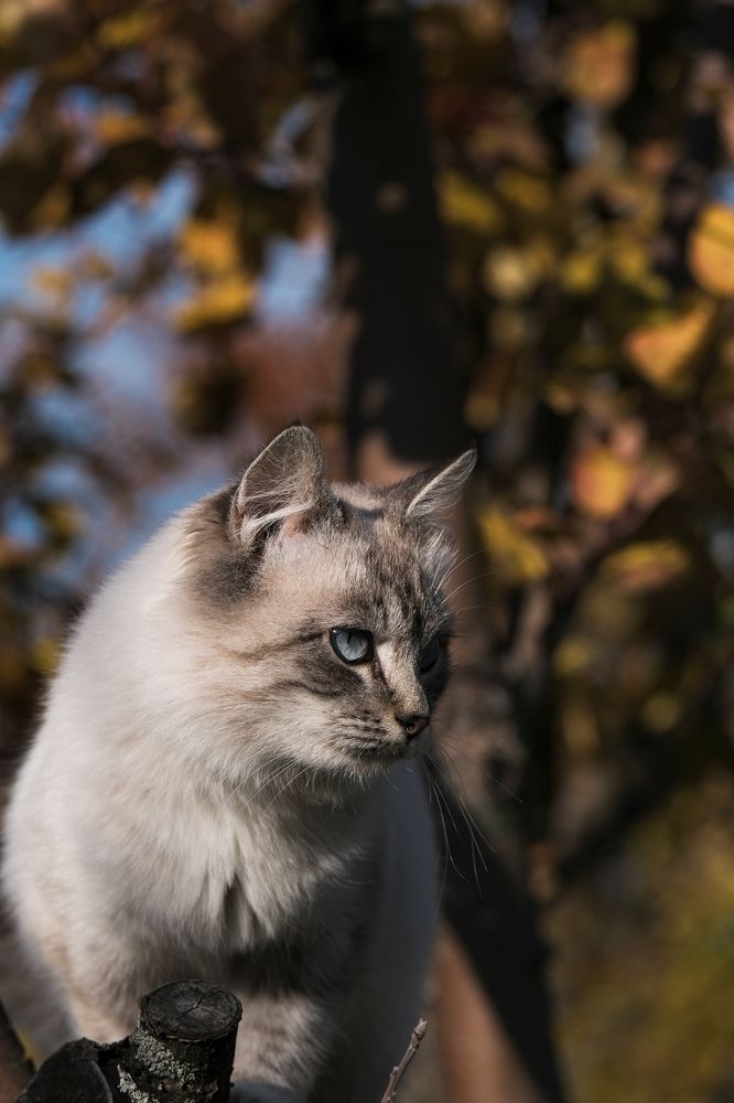 Photograph by Евгения Путинцева