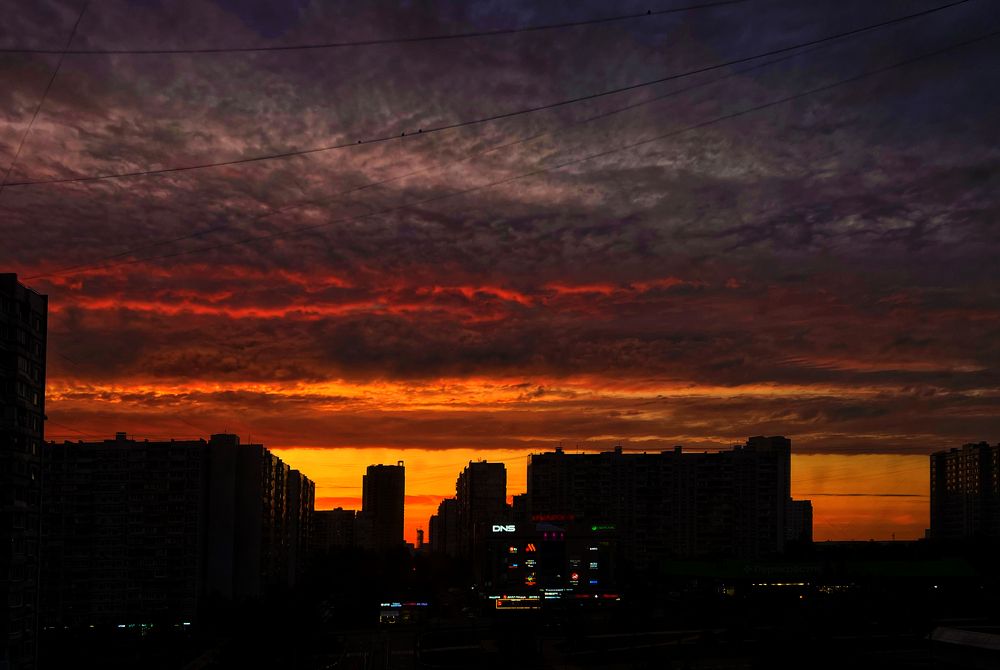 Photograph by Lana Cardi