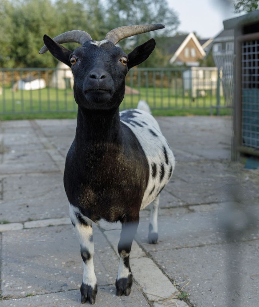 Photograph by Taтьяна Войлокова