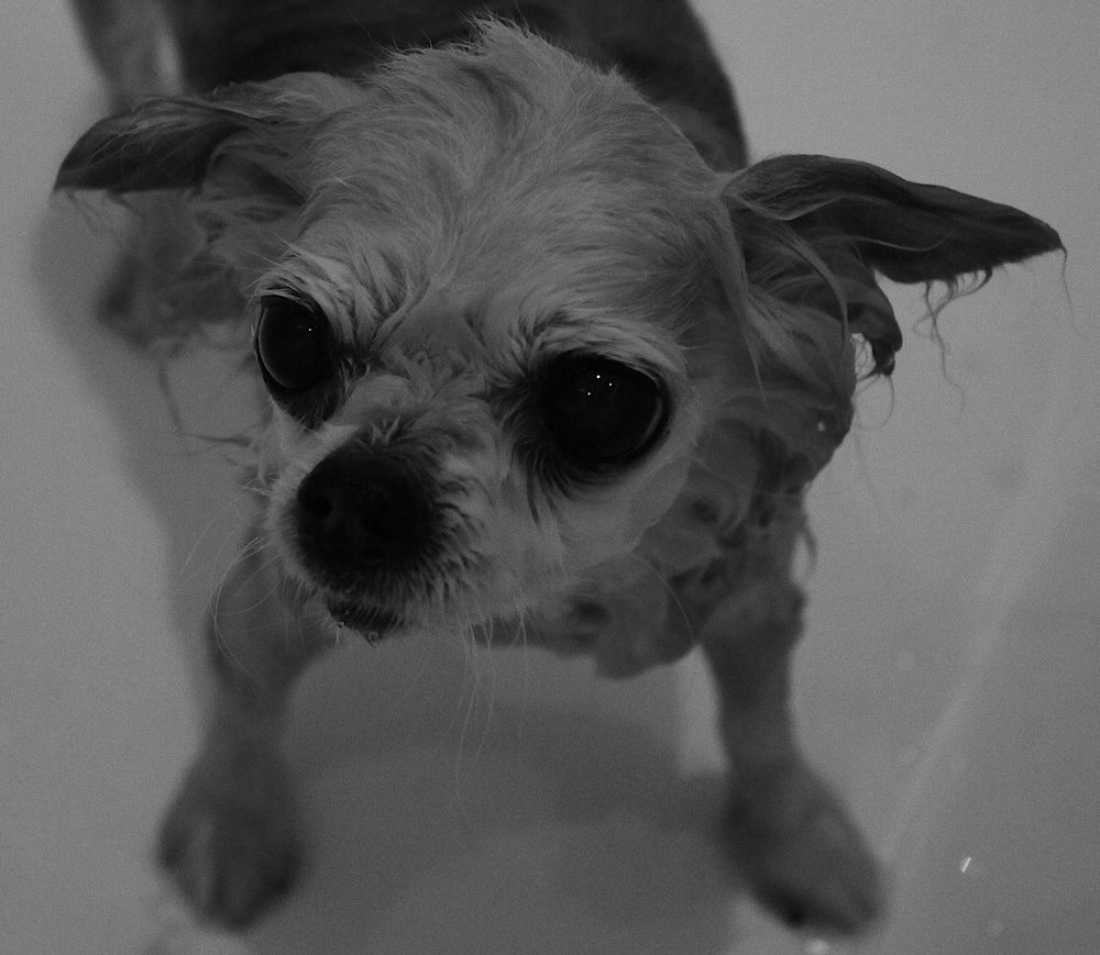 Photograph by дмитрий