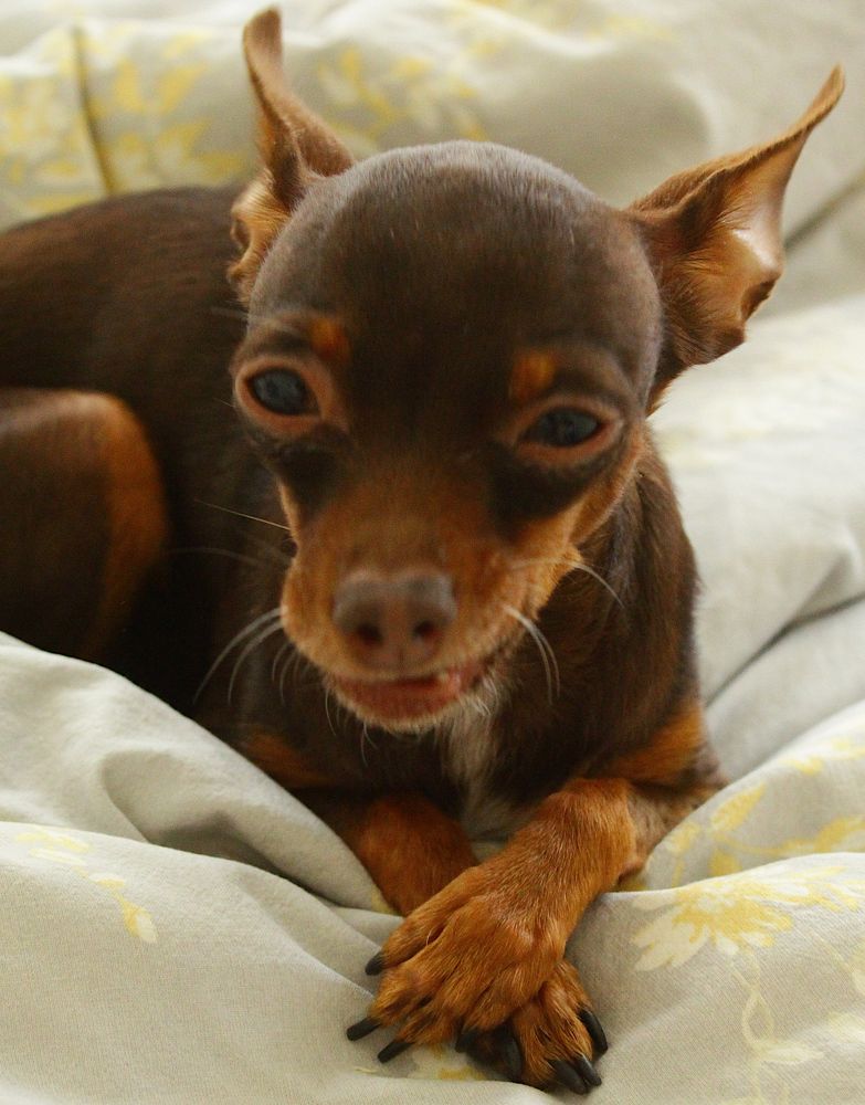 Photograph by дмитрий