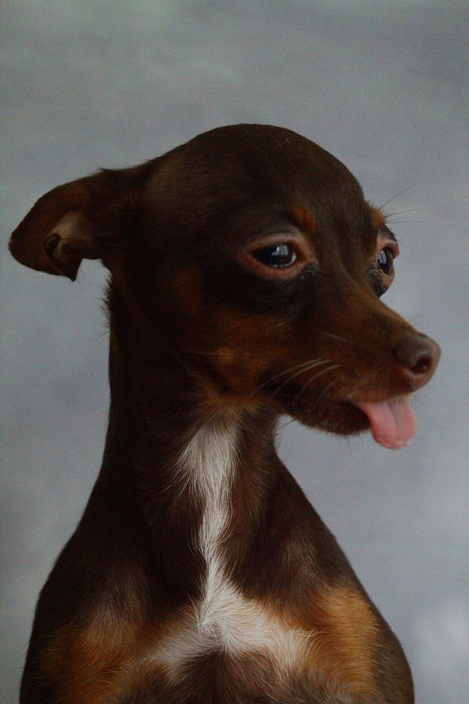 Photograph by дмитрий