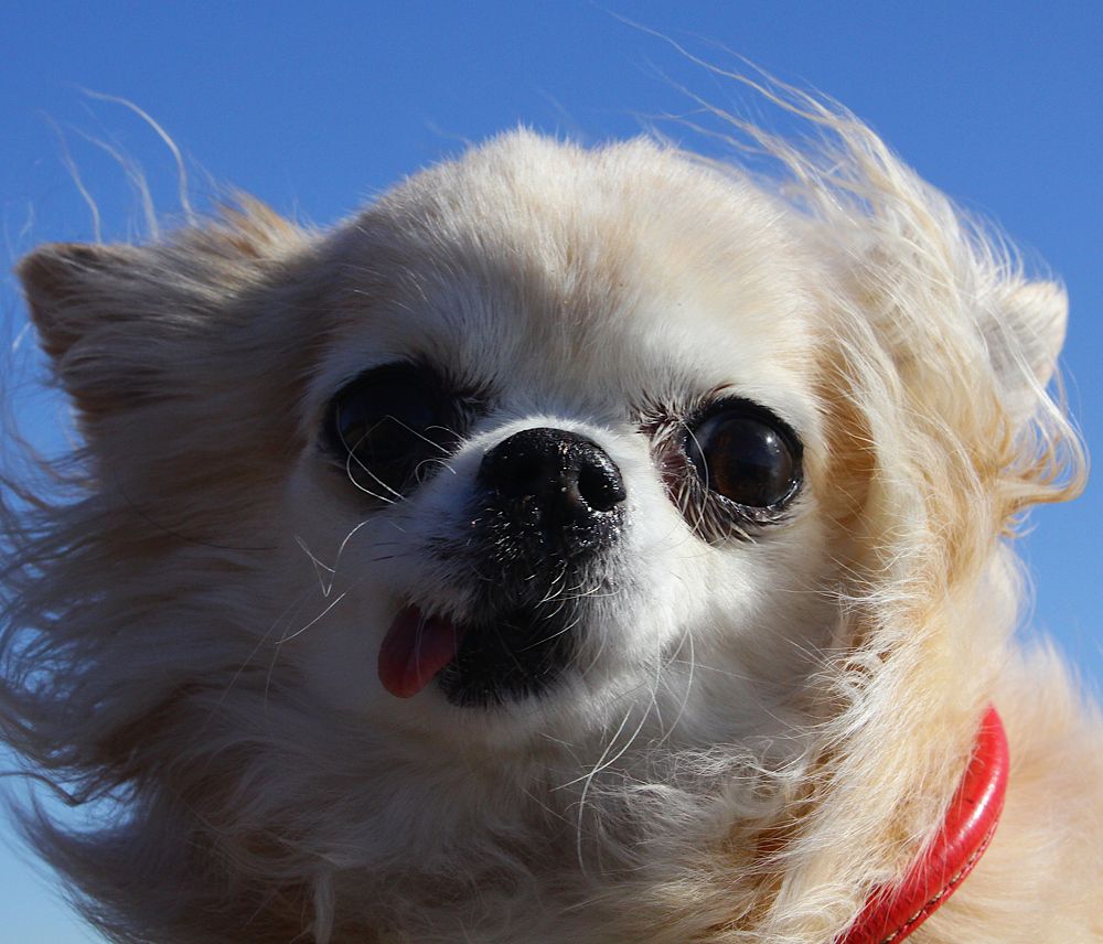 Photograph by дмитрий