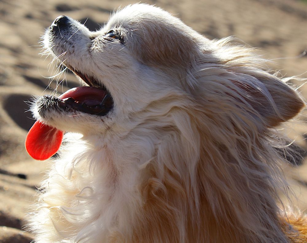 Photograph by дмитрий