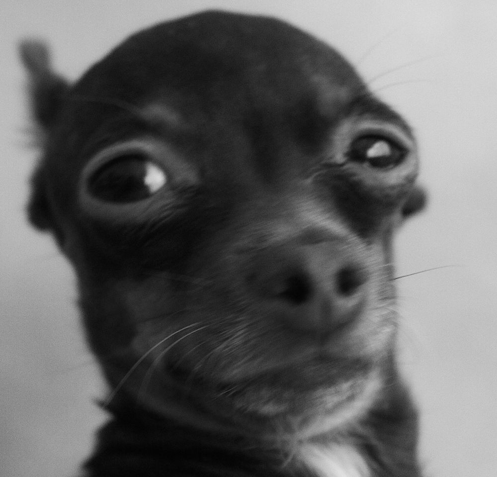 Photograph by дмитрий