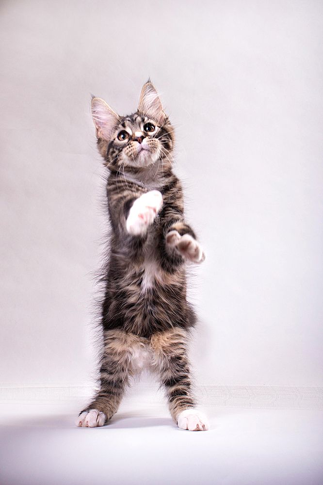 Photograph by Ирина Мамонова