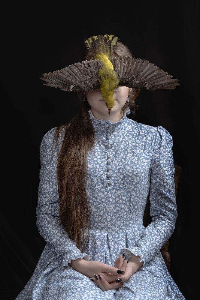 Фотография автора Могилевцева Дарья