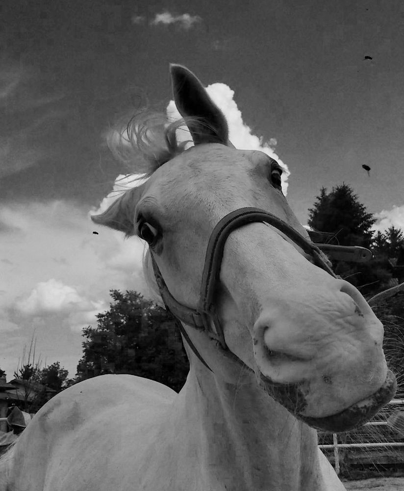 Photograph by Taтьяна Войлокова