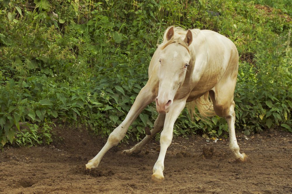 Photograph by Ольга Заповедная
