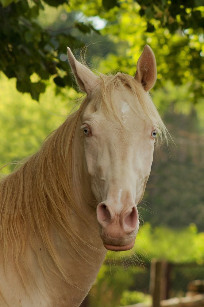 Photograph by Ольга Заповедная