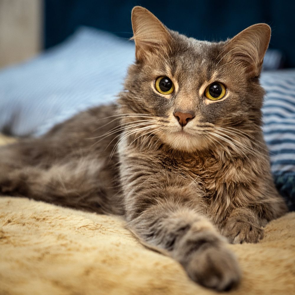 Photograph by Ирина Остапенко