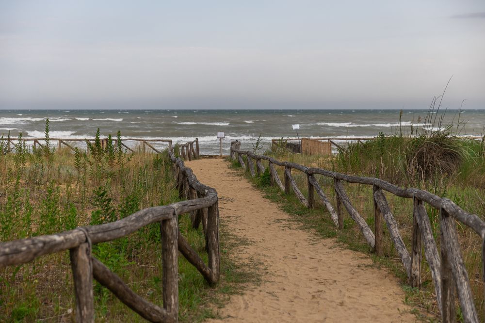 Photograph by Adrian Sararu