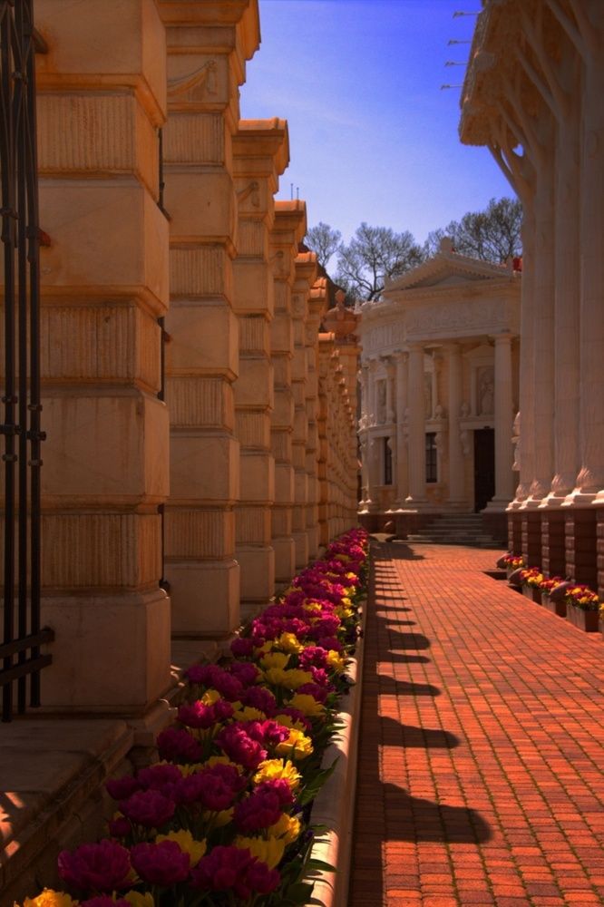 Photograph by Ирина Соколова