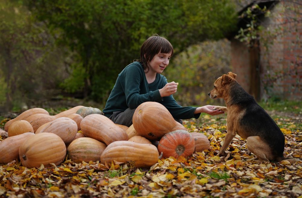 Фотография автора Светлана Зимина