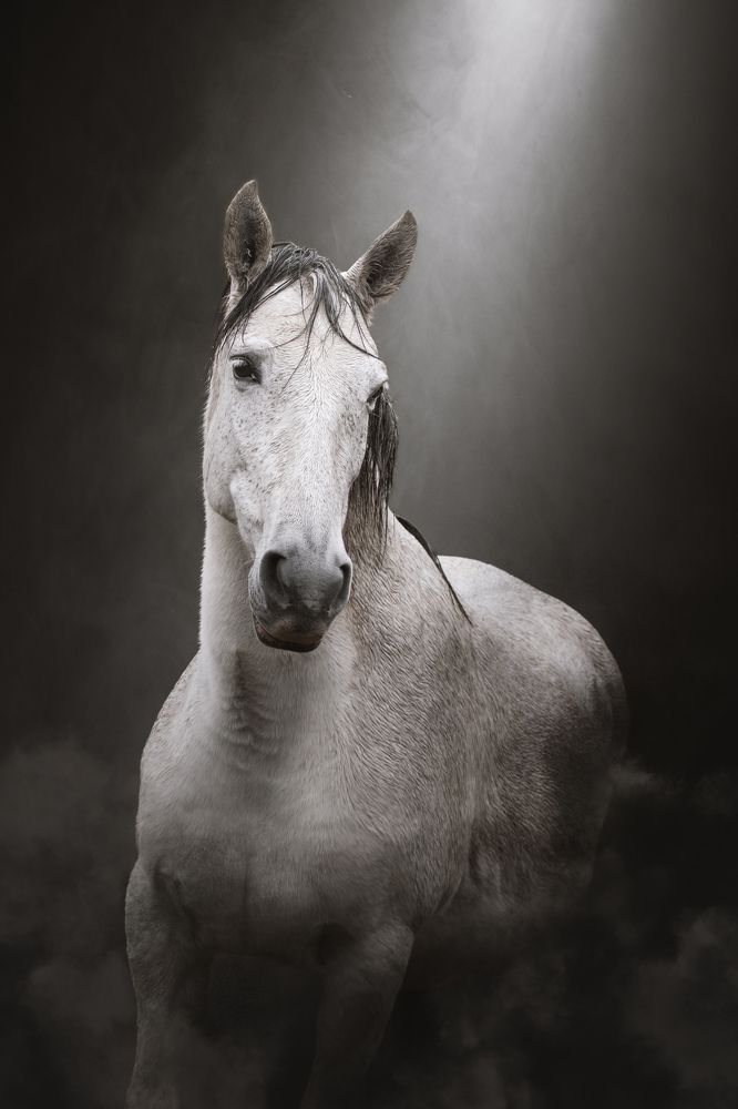 Photograph by leticia pascual garcia