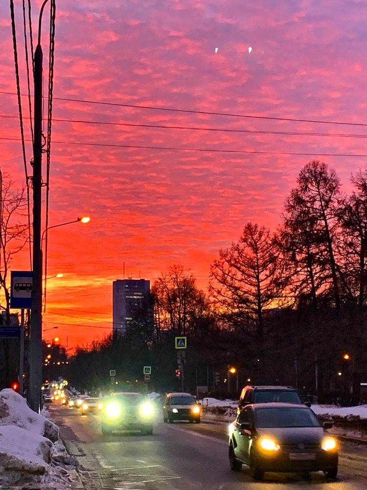 Photograph by Елена Макуха