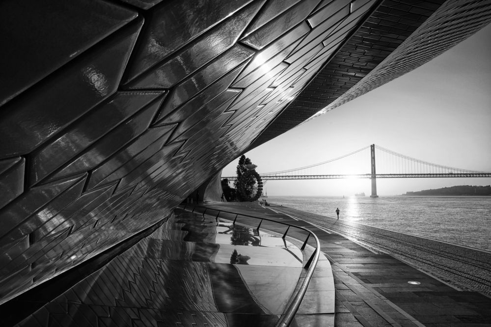 Photograph by Mário C.