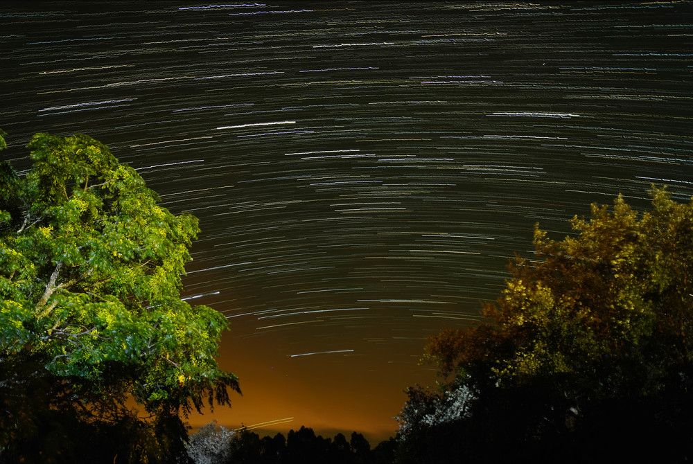 Photograph by Mário C.