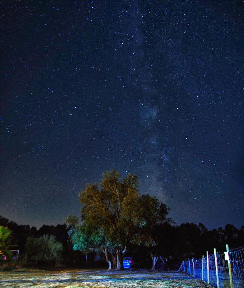 Photograph by Mário C.