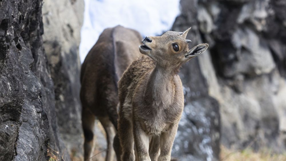 Photograph by Nikhil dharmaraj