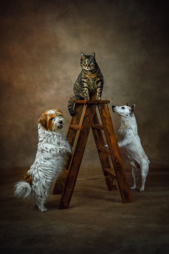 Фотография автора Kasia Kapała