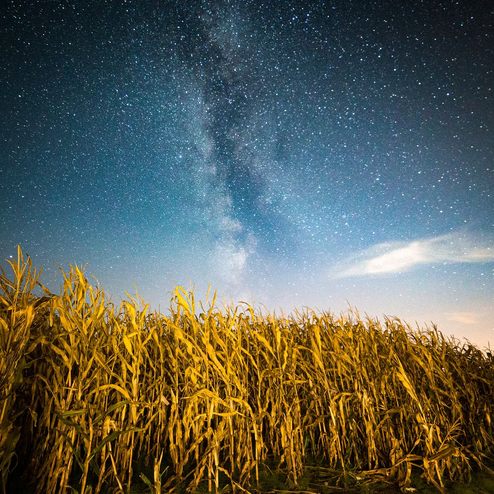 Photograph by Andrei Iliushenko