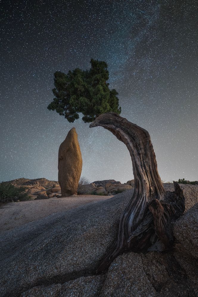 Фотография автора Parth Shiras