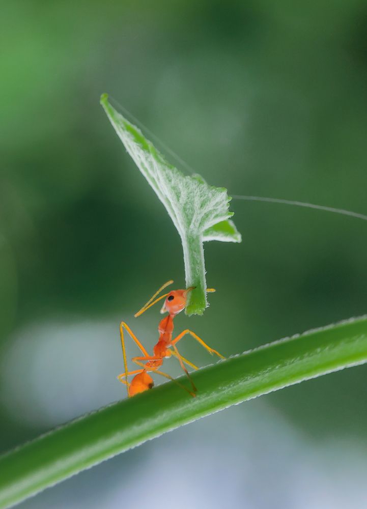 Photograph by Arindam Sahoo
