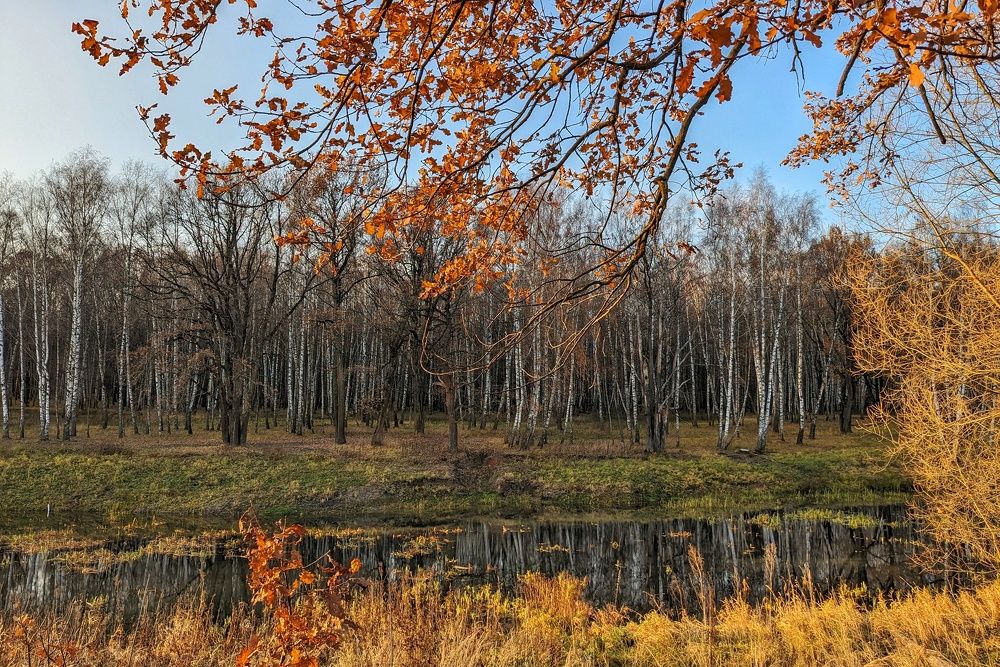 Photograph by Екатерина Чижевская
