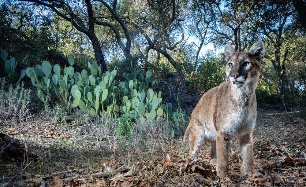 Photograph by Jeff Wirth