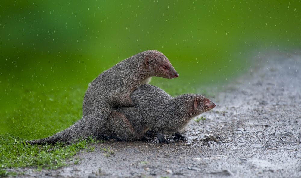 Photograph by Vasudev H M