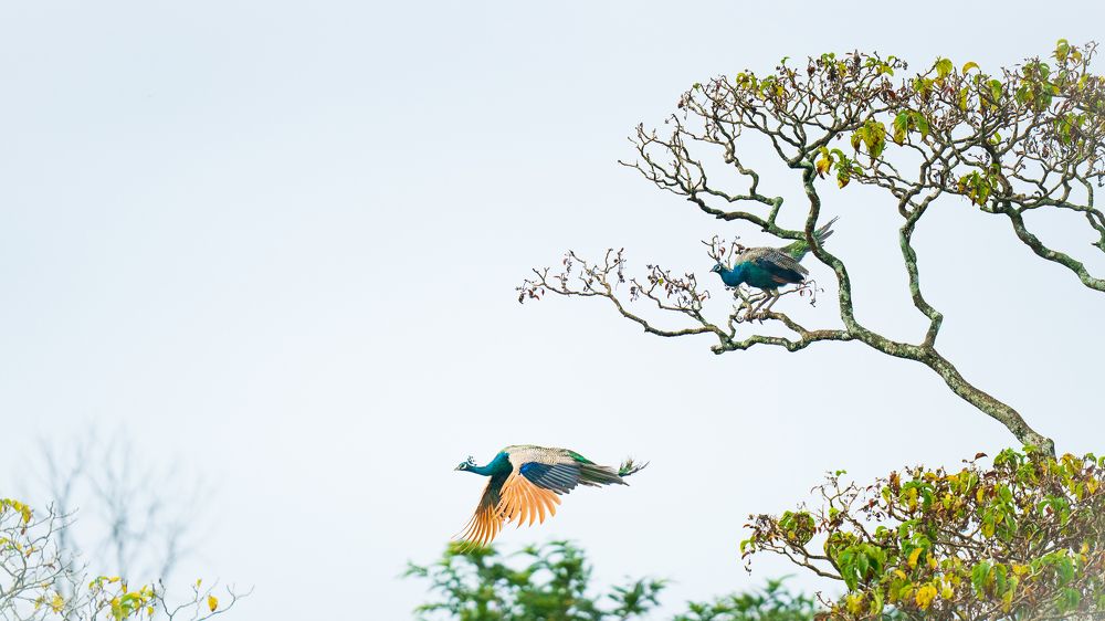 Photograph by Ayan Bhattacharya