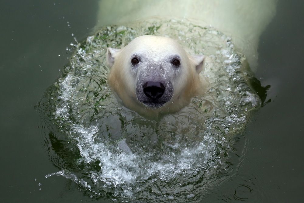 Доброе утро!