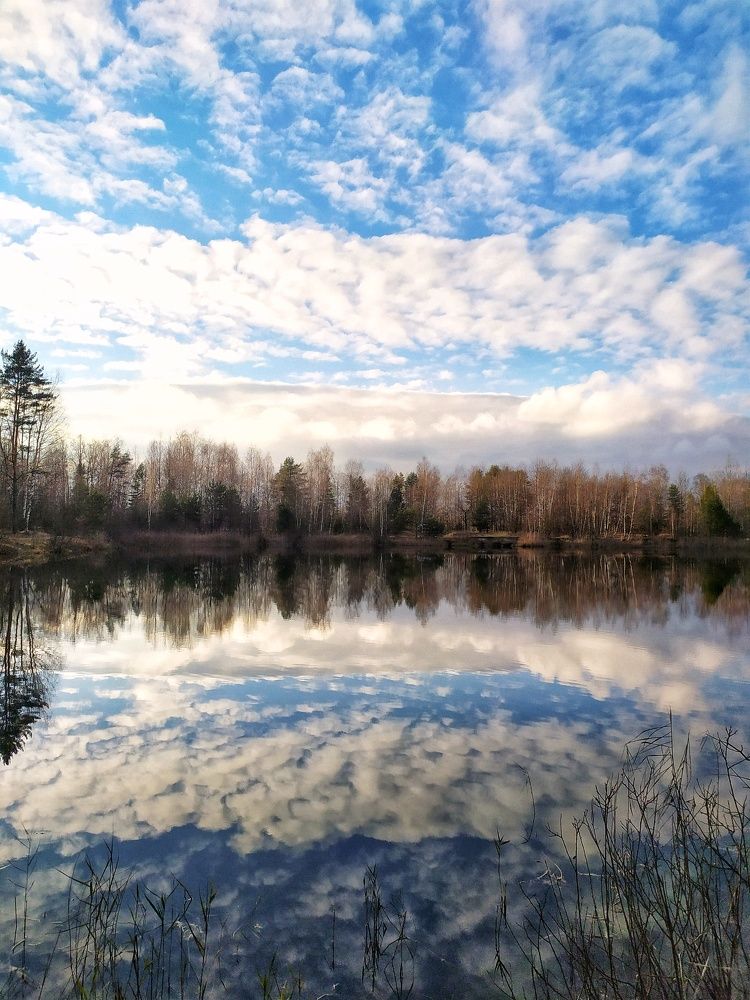 Photograph by Любовь Сухова