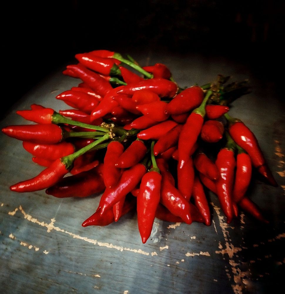 Photograph by Любовь Сухова