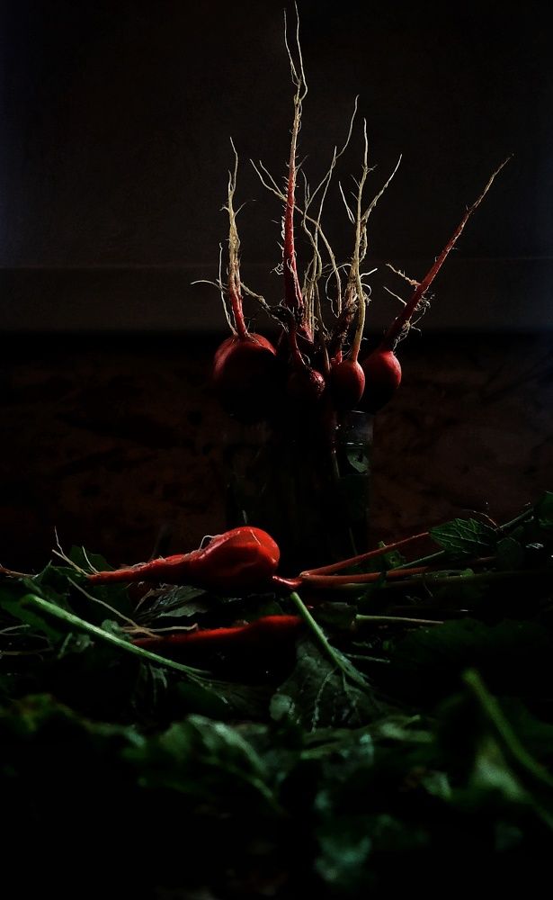 Photograph by Любовь Сухова