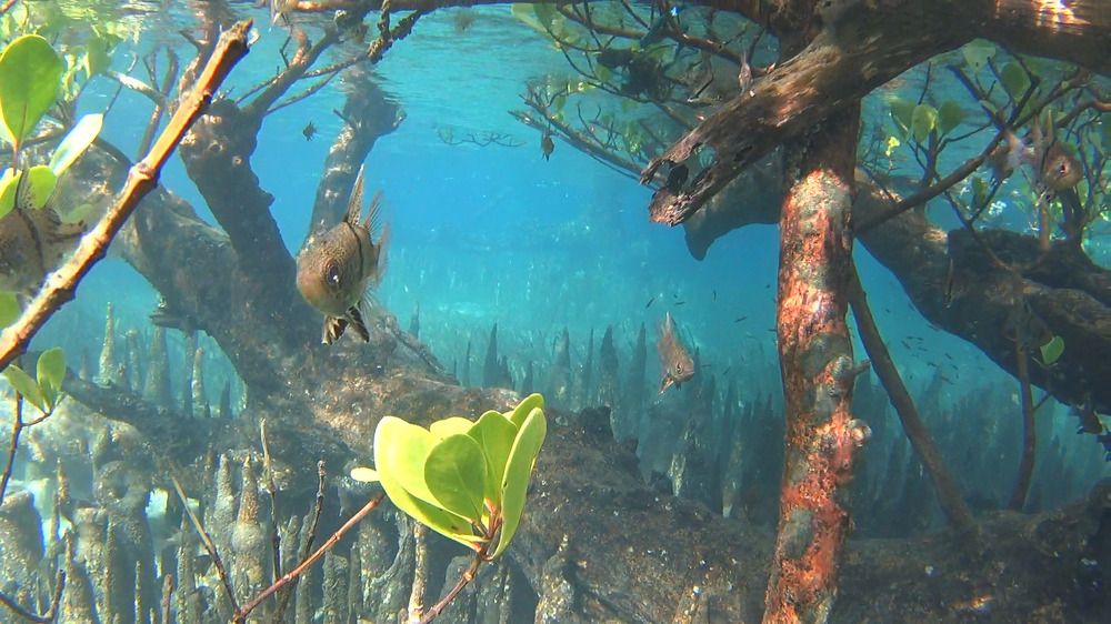 Photograph by Brigita Šipoš Pirš