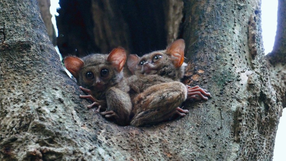 Photograph by Brigita Šipoš Pirš