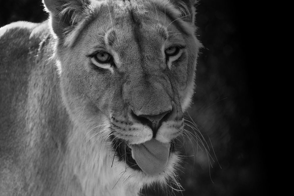 Photograph by Tanja Wolfaardt